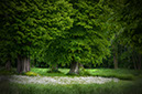 %_tempFileName2013-06-10-136RPtViVg%