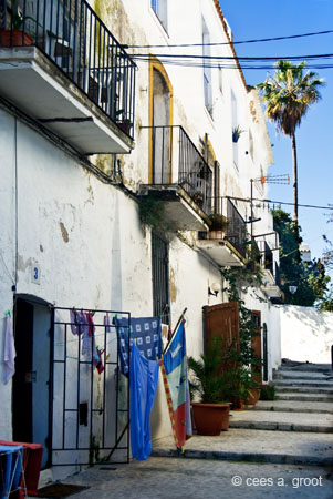 2008-02-22 061ARLLD