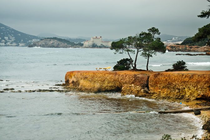 2008-02-24 006ARLLD