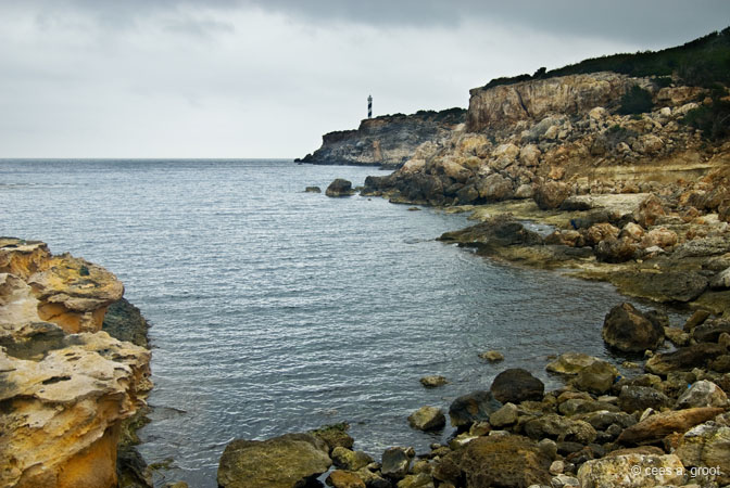 2008-02-24 014ARLLD