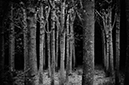 %_tempFileName2010-05-15-67RUhUSeP%