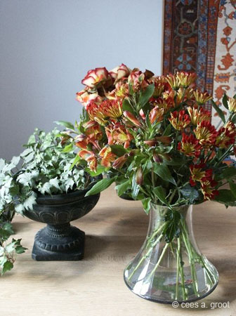 2002  bloemen 1 vv