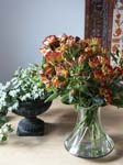 2002  bloemen 1 vv