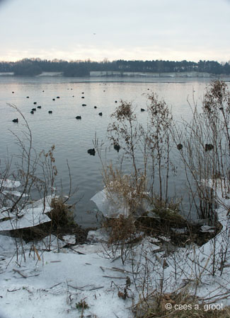 2003-01-12 04A