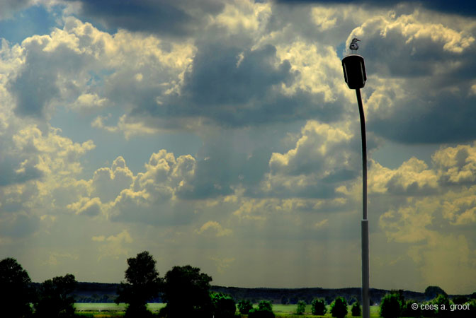 2006-08-13 056SeNKE2