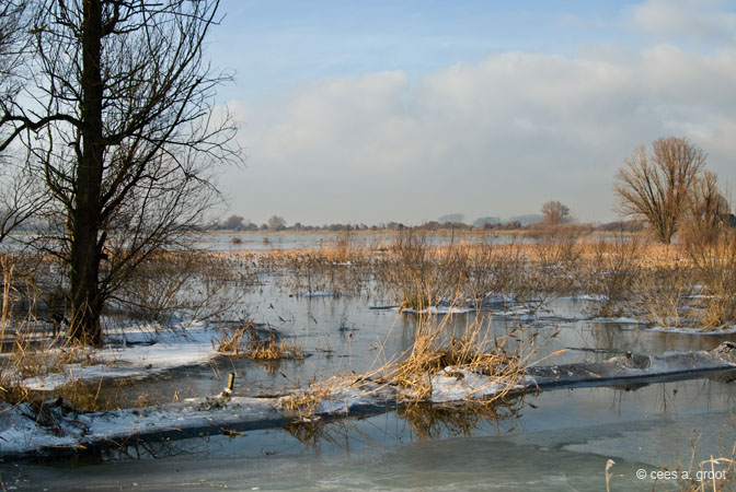 2007-12-23 001ARLD