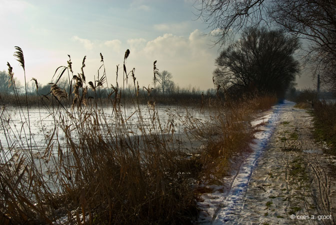 2007-12-23 005ARLD
