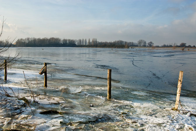 2007-12-23 006ARLD