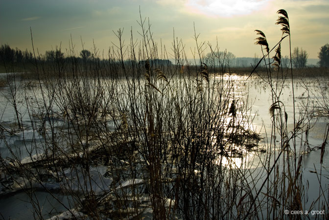 2007-12-23 009ARLD
