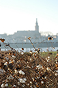 %_tempFileName2003-12-10-012%
