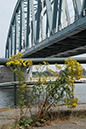 %_tempFileName2005-07-24%20037U%