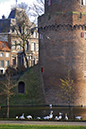 %_tempFileName2006-12-17%20008VNKCar%