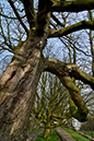 %_tempFileName2007-03-08%20127D%