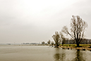 %_tempFileName2007-03-16%20029D%
