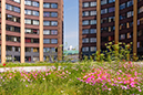 %_tempFileName2007-06-01%20012ARD%