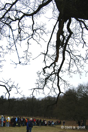 2006-03-19 048V