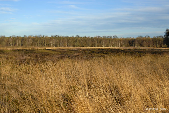 2006-11-26 006E
