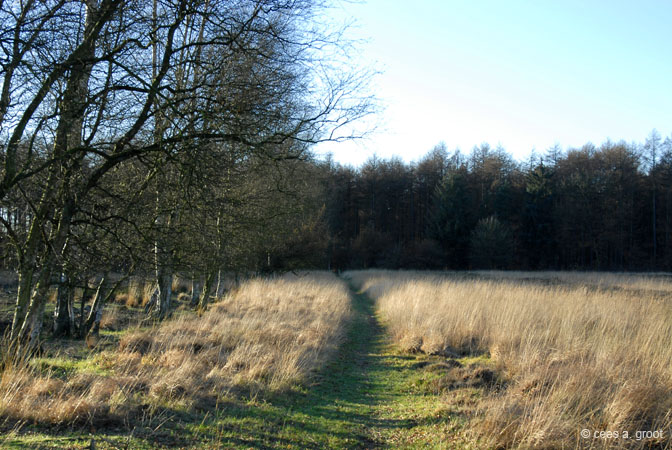 2006-11-26 008E