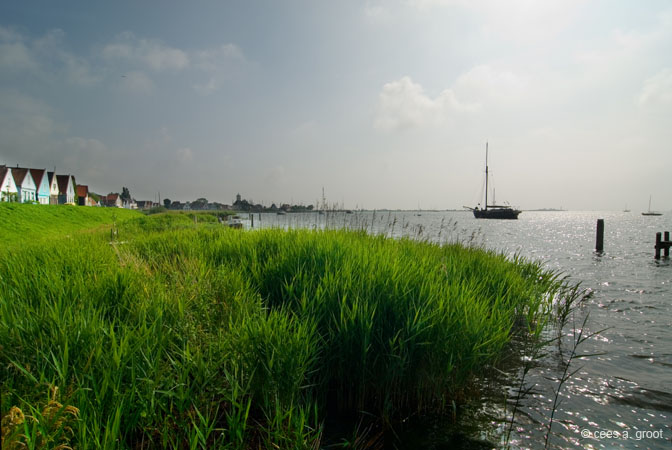2007-06-03 008ARLDV2