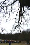 2006-03-19 048V