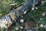 2006-11-26 014NKS