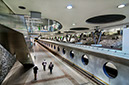 %_tempFileName2013-03-31-270RViEV%